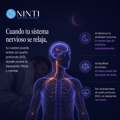 Infografía NINTI de sueño profundo. Muestra figura humana con sistema nervioso iluminado y hombre durmiendo al fondo.